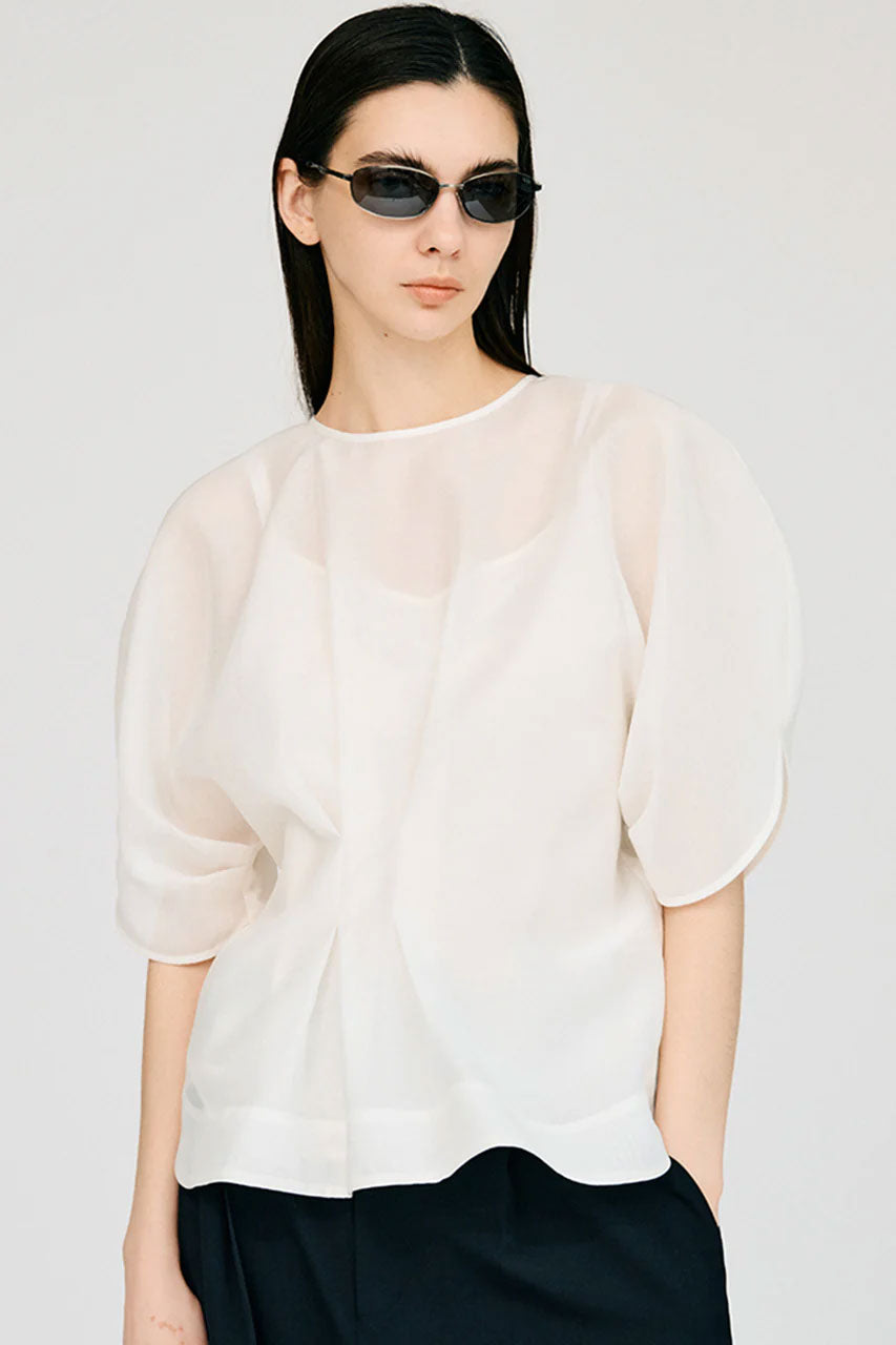 
                  
                    Organza Puff Top
                  
                