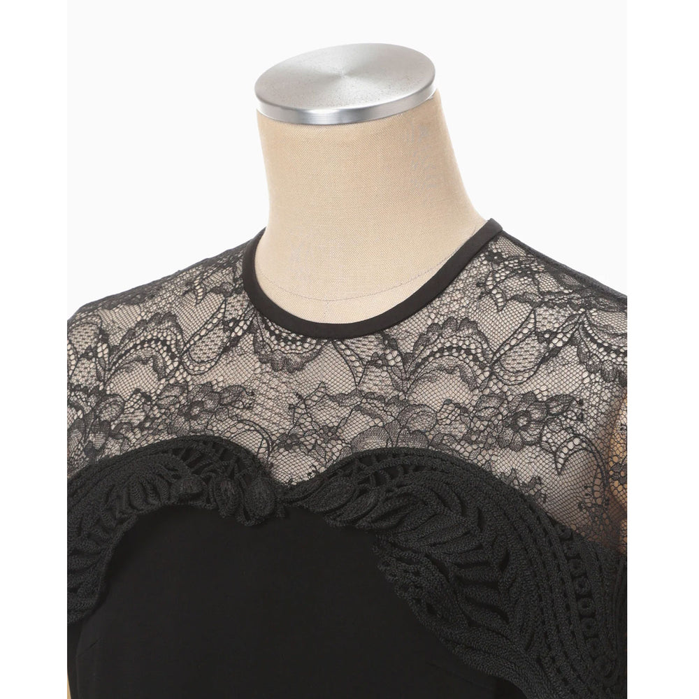 
                  
                    Tulle Lace Classic Dress - black
                  
                