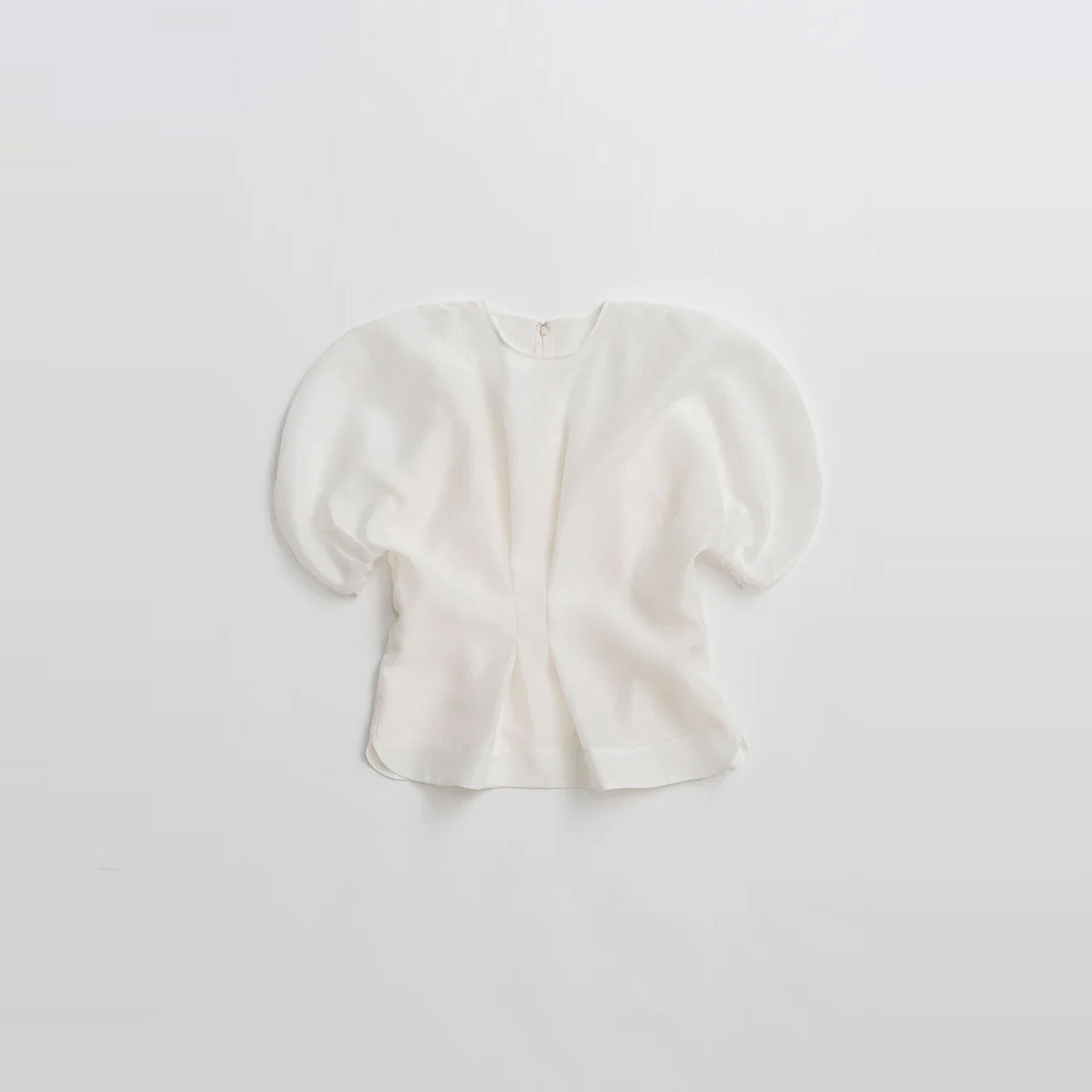 
                  
                    Organza Puff Top
                  
                