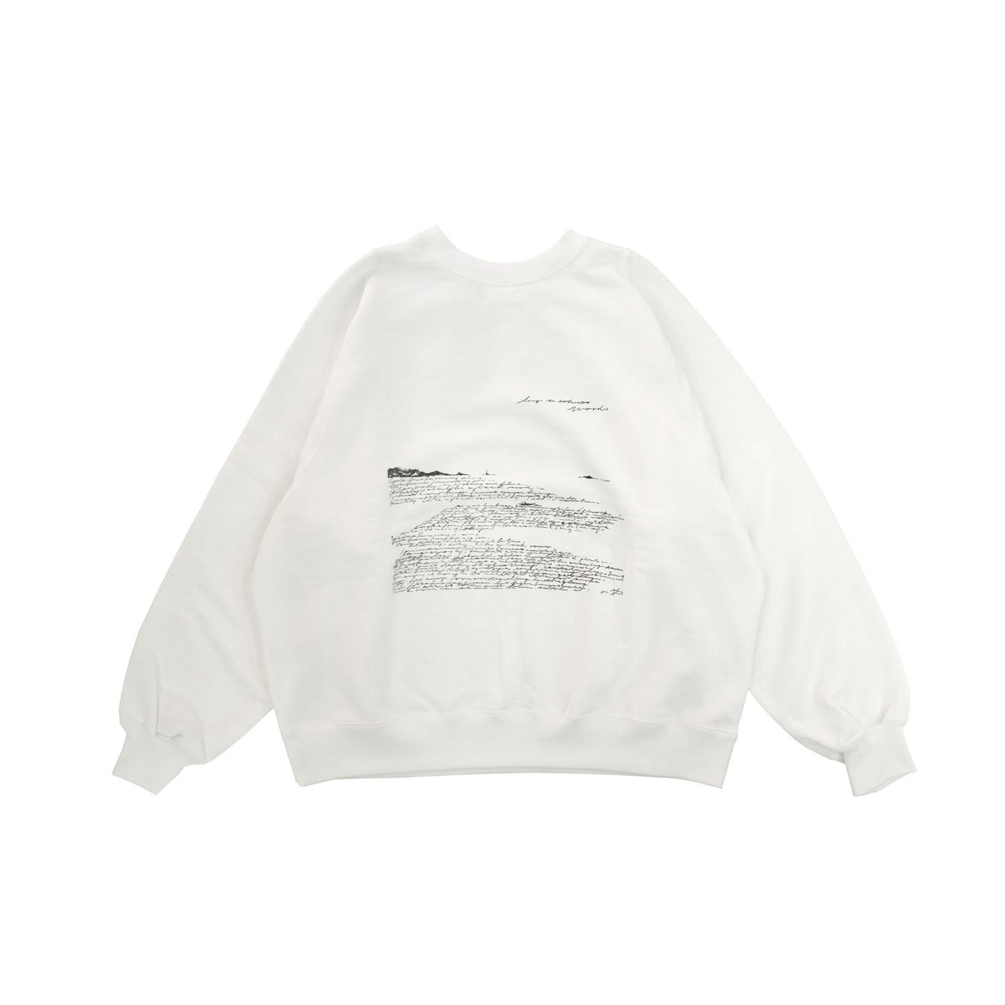 
                  
                    OVERSIZED ARMOR SWEAT -WHITE PRINTED-
                  
                