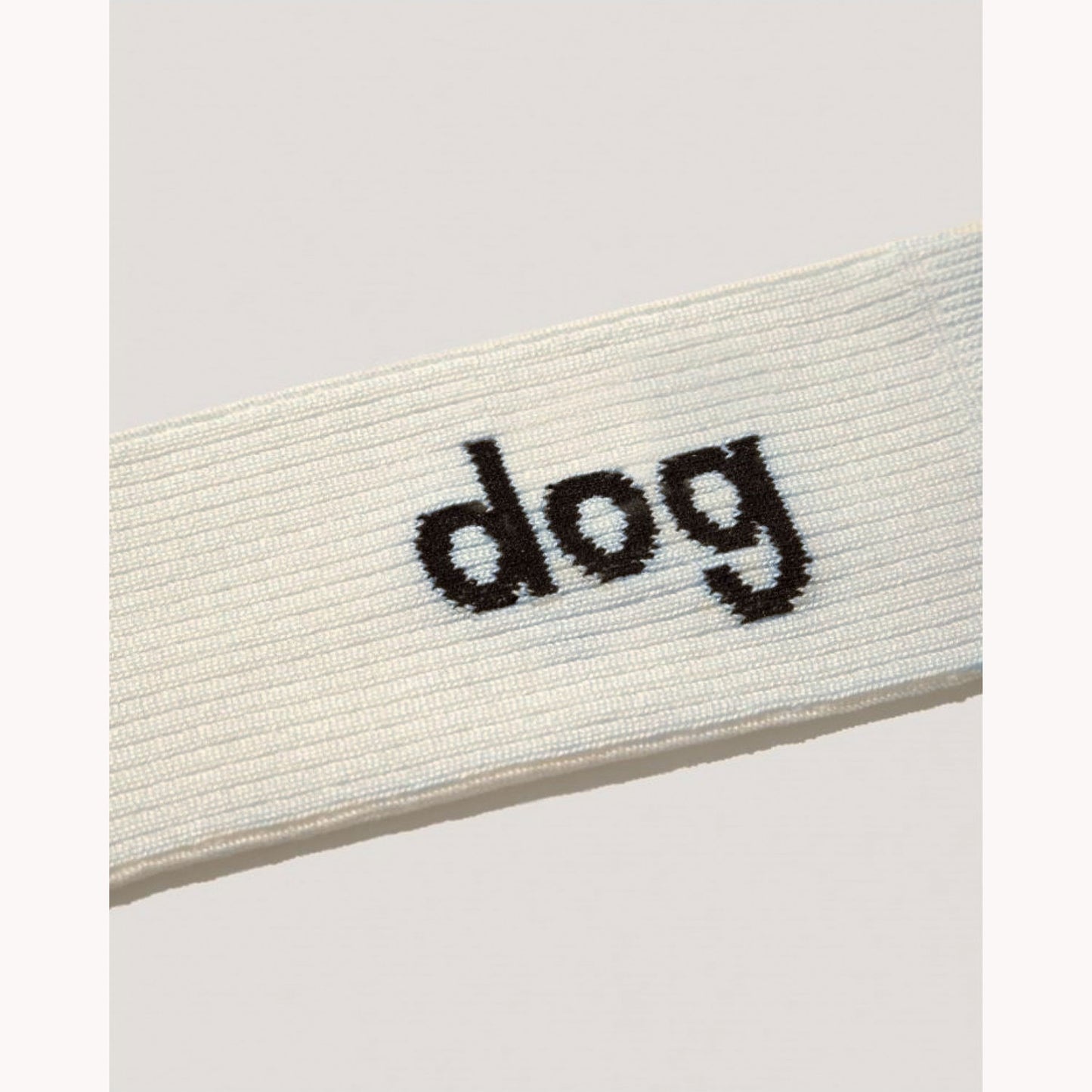 
                  
                    ReminderSocks (dog)
                  
                