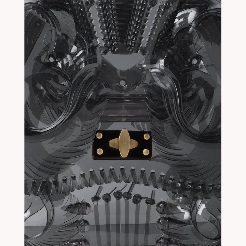 Transparent Sculptural Handbag-black- – OBLIGE