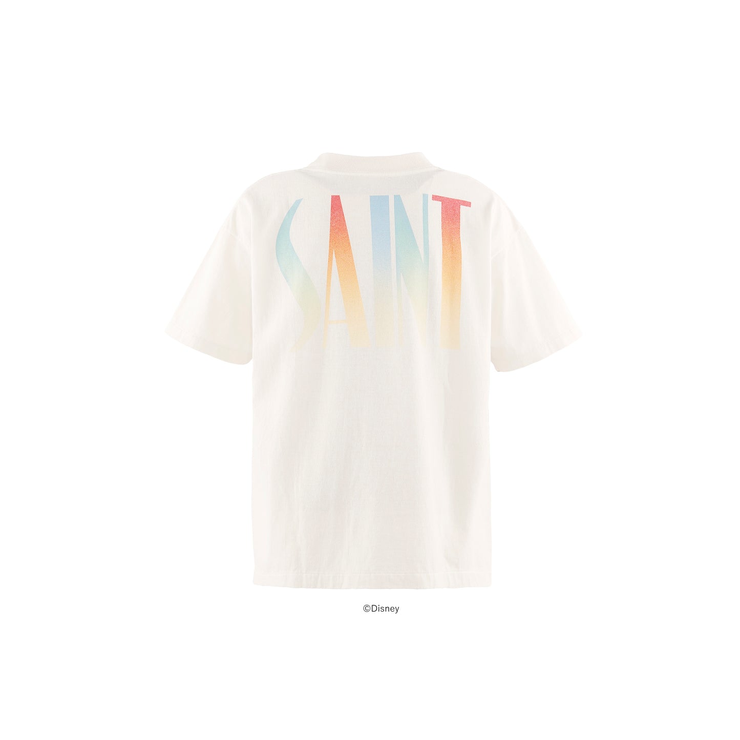 
                  
                    DSNY SS T-SHIRT FANTASIA
                  
                
