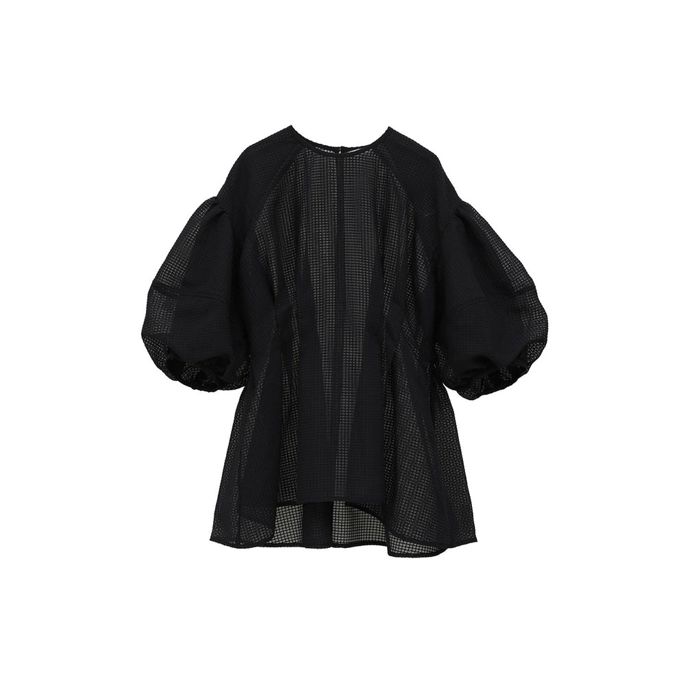 
                  
                    SHEER PLAID VOLUME SLEEVE TOPS -BLACK-
                  
                