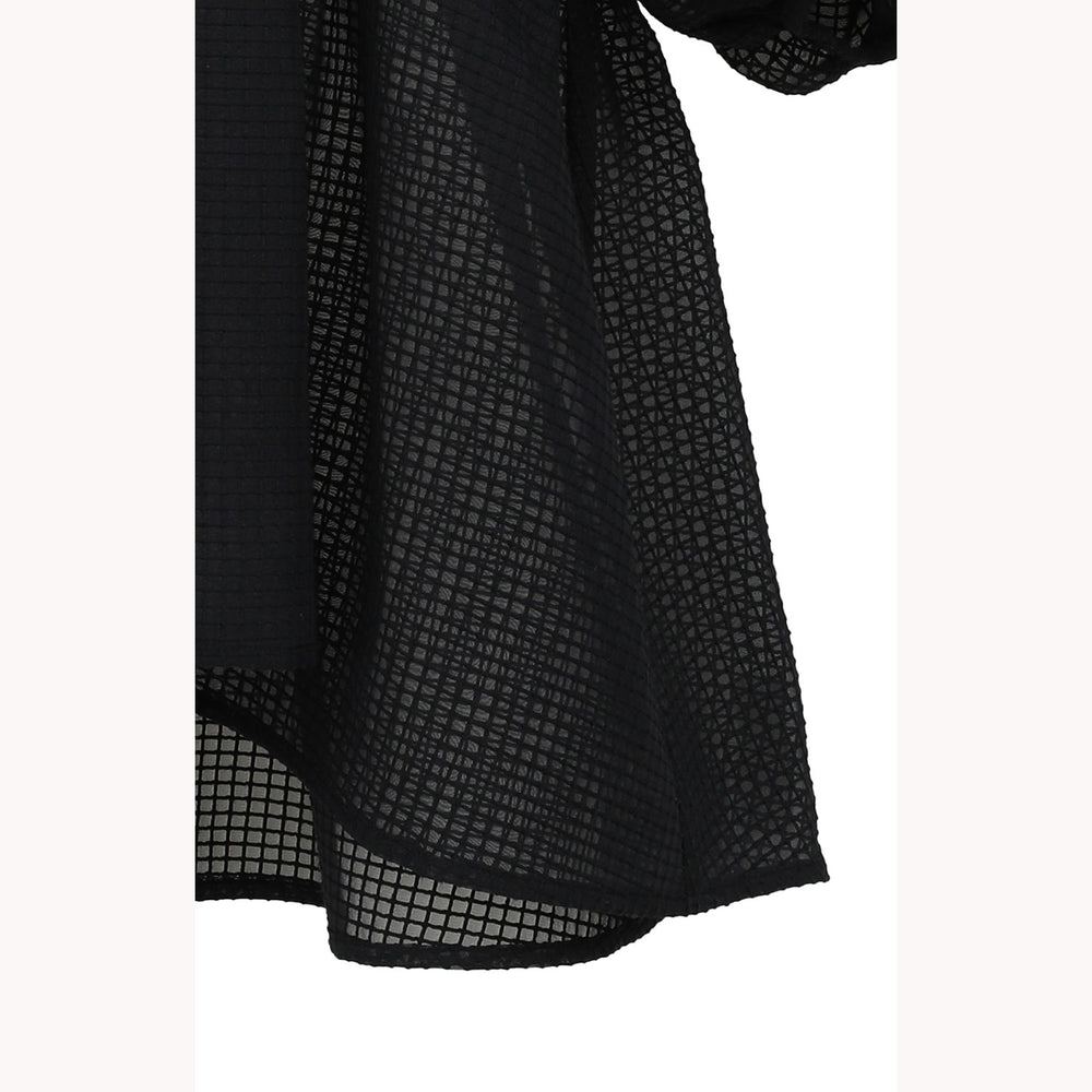 
                  
                    SHEER PLAID VOLUME SLEEVE TOPS -BLACK-
                  
                
