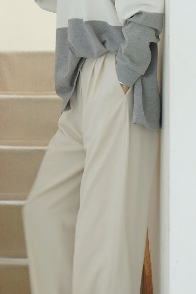
                  
                    BASIC TUCK PANTS
                  
                